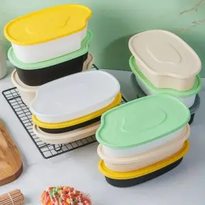 Disposable Takeaway Food Container with Lid for Food Delivery