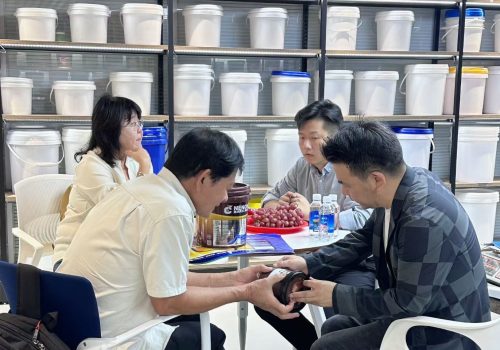 discussing with client packaging solution discussing with client packaging solution
