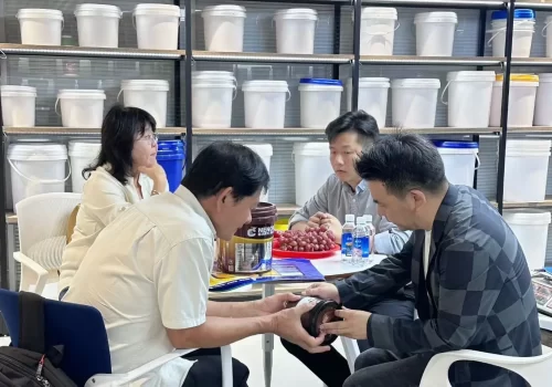 discussing with client packaging solution discussing with client packaging solution